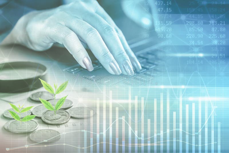 Arbore cu expunere dublă care crește în mâna unei femei din industria monedelor pe calculatorul de la tastatură stock photography