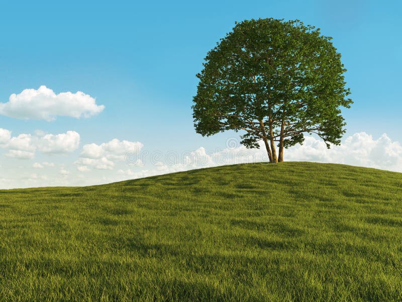 Arbore singuratic stock illustration