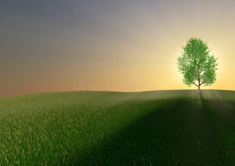 Arbore singuratic royalty free illustration
