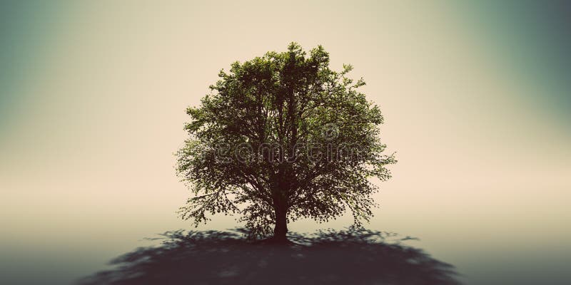 Arbore verde singuratic. fond natural cu lumină unică și umbră vector illustration