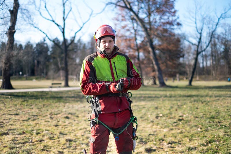 Arborist men standing against two big trees. The worker with helmet working at height on the trees. Lumberjack working with ch stock image Arborist men standing against two big trees. The worker with helmet working at height on the trees. Lumberjack working with ch stock image