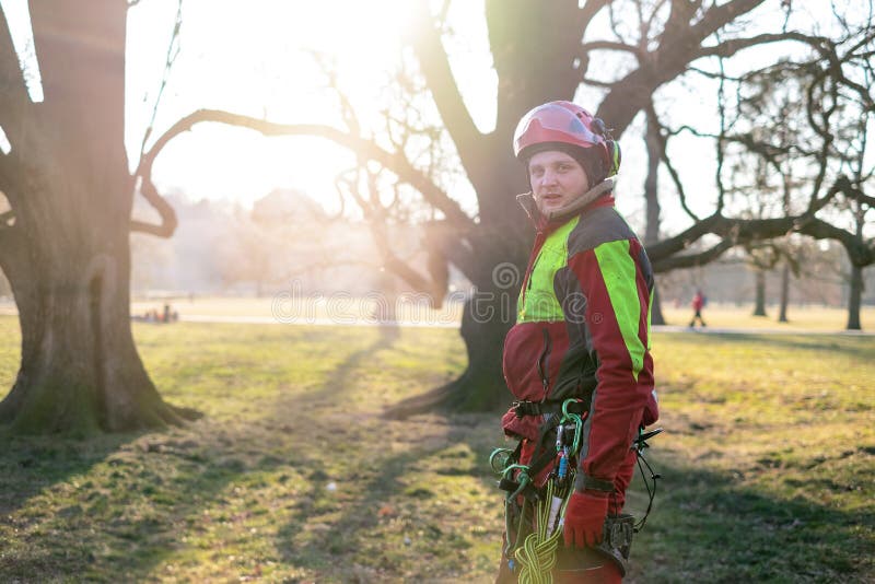 Arborist men standing against two big trees. The worker with helmet working at height on the trees. Lumberjack working with ch stock images Arborist men standing against two big trees. The worker with helmet working at height on the trees. Lumberjack working with ch stock images