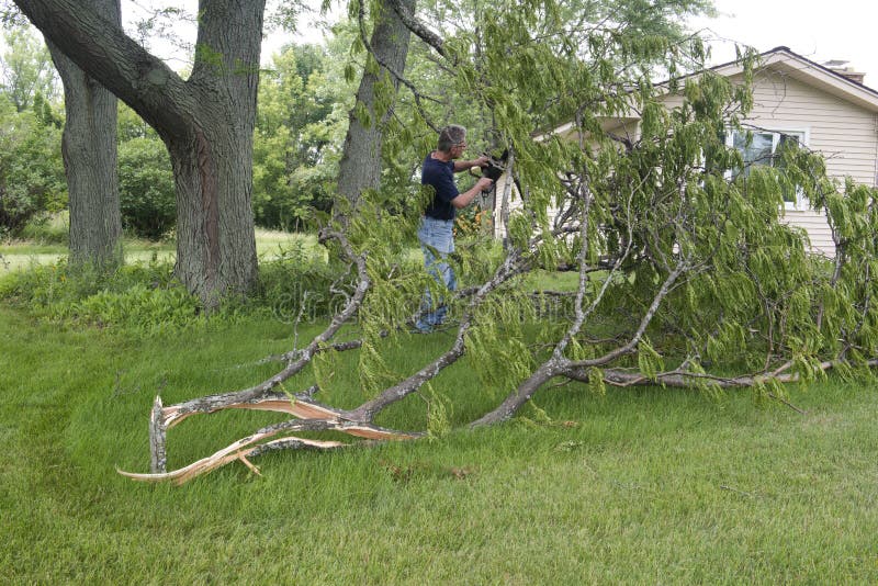 Arbre avalé par tronçonneuse d'homme de dommages de tempête de vent de tornade photos stock Arbre avalé par tronçonneuse d'homme de dommages de tempête de vent de tornade photos stock
