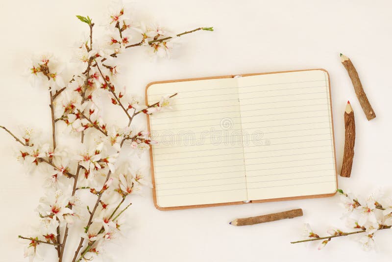 Arbre blanc de fleurs de cerisier de ressort et carnet ouvert image libre de droits