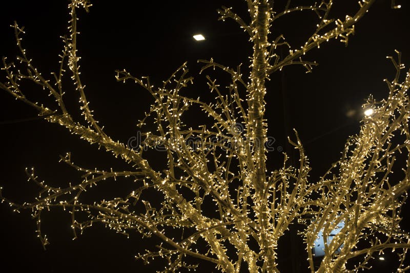 Guirlandes Sur Un Arbre. Lumières Sur Les Branches. Le Contexte Du