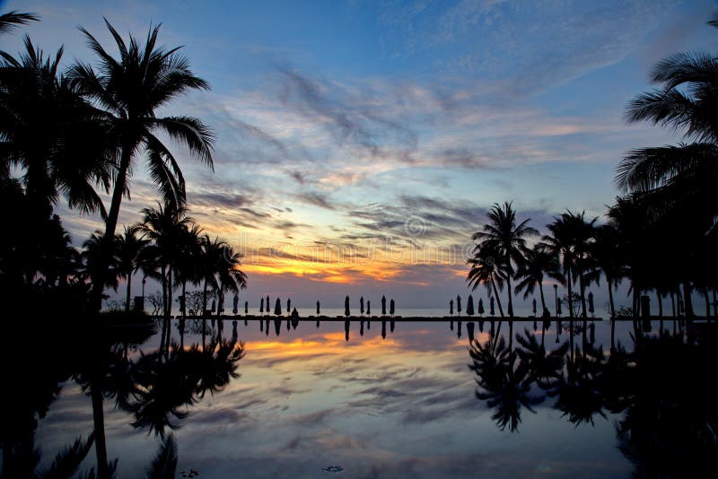 Arbre de noix de coco crépusculaire de silhouette près de piscine de plage image stock Arbre de noix de coco crépusculaire de silhouette près de piscine de plage image stock