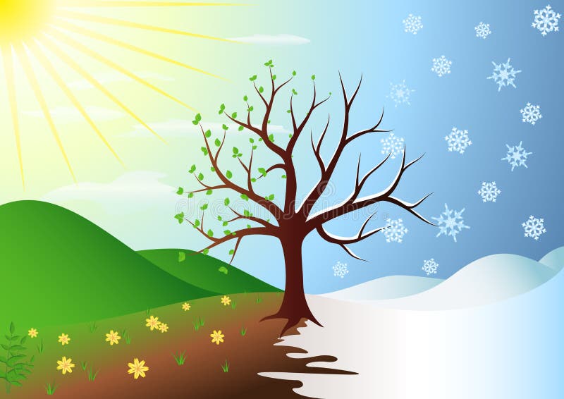 Arbre en hiver et printemps illustration de vecteur Arbre en hiver et printemps illustration de vecteur