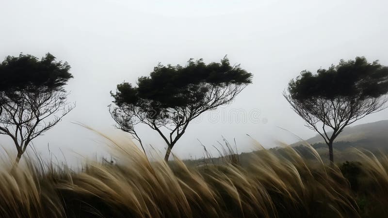 Arbres balayés par le vent dans un champ brumeux concept nature abstraite illustration libre de droits