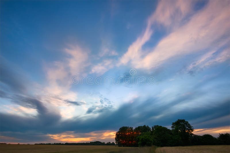 Arbres et ciel après coucher du soleil image stock Arbres et ciel après coucher du soleil image stock