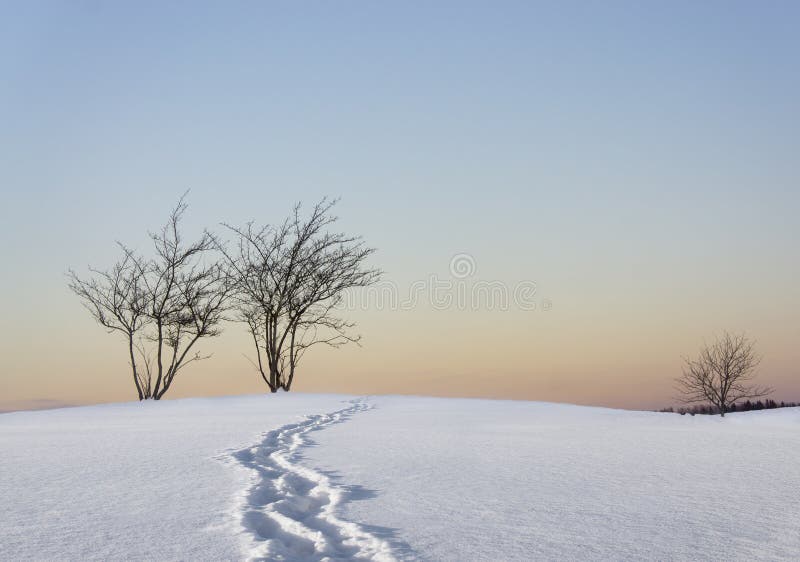 Arbres nus dans le paysage d'hiver images libres de droits Arbres nus dans le paysage d'hiver images libres de droits