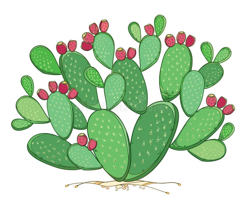 Ilustração de planta de cacto cinza, Cactaceae Saguaro, Cactus 8, azul,  paisagem, planta Haste png