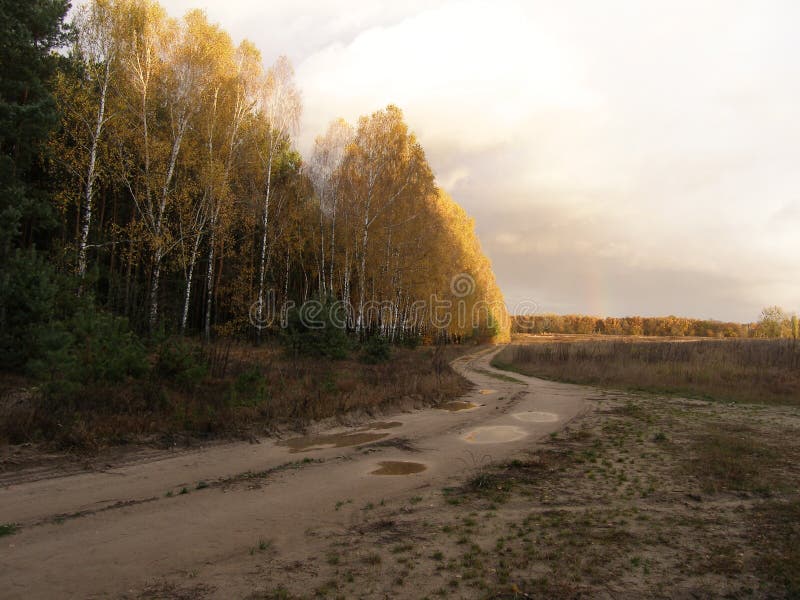 Arc-en-ciel au-dessus de la forêt après la pluie Automne tôt La route entrant dans la distance photo libre de droits Arc-en-ciel au-dessus de la forêt après la pluie Automne tôt La route entrant dans la distance photo libre de droits