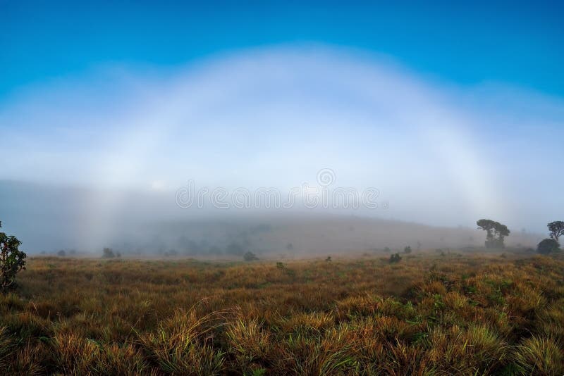 Arc-en-ciel sur le pré brumeux pendant le matin Vue de Lanscape avec le ciel bleu lumineux photo stock Arc-en-ciel sur le pré brumeux pendant le matin Vue de Lanscape avec le ciel bleu lumineux photo stock