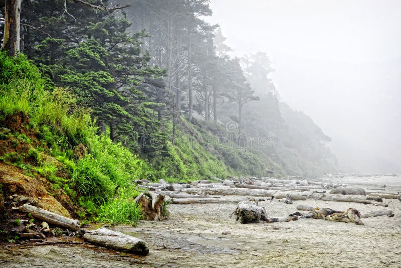 Arcadia Beach in Morning Fog royalty free stock images Arcadia Beach in Morning Fog royalty free stock images