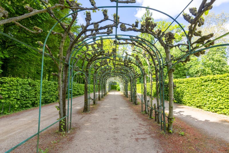 Arch alley in Sanssouci park, Potsdam, Germany