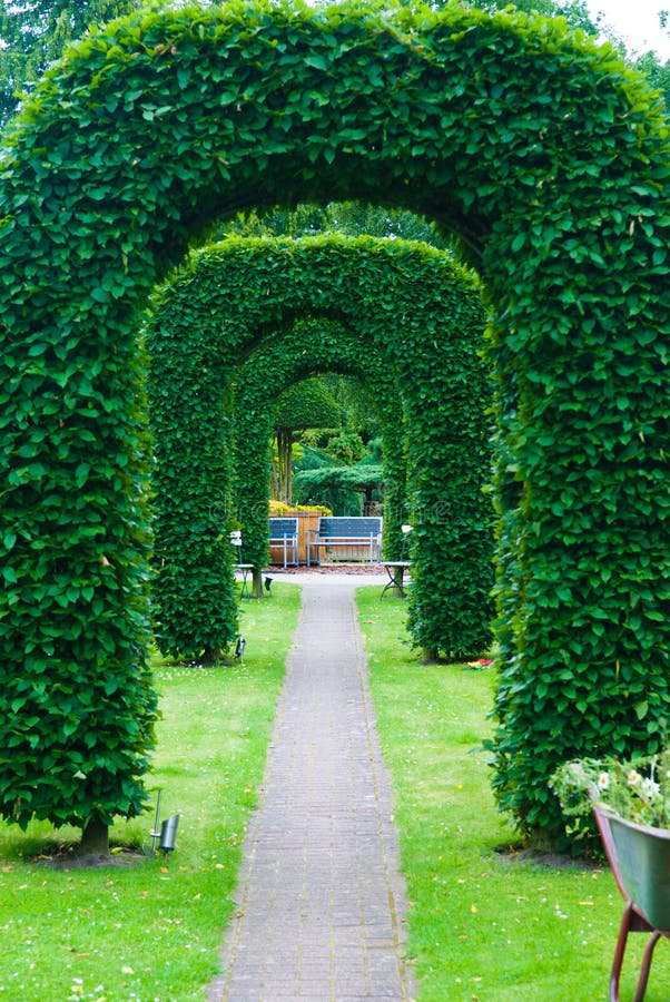 Arch of topiary