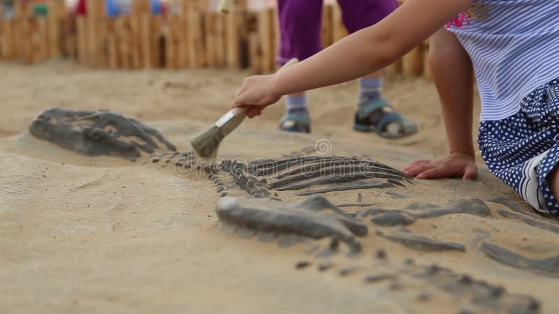 Archaeological Excavation Of Dinosaur Bones Stock Footage - Video of children, game: 81228464