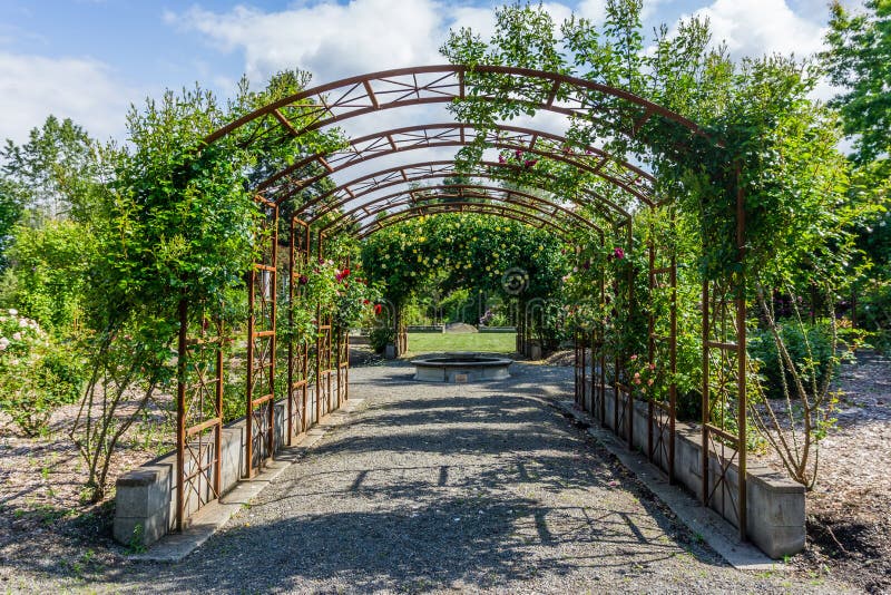 Arched Flower Trellis stock image. Image of seatac, nature 187401677