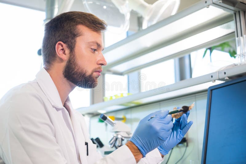 Archeolog pracuje w naturalnym laboratorium badawczym Laborancki asystent czyści zwierzęce kości Archeologia, zoologia zdjęcia stock Archeolog pracuje w naturalnym laboratorium badawczym Laborancki asystent czyści zwierzęce kości Archeologia, zoologia zdjęcia stock