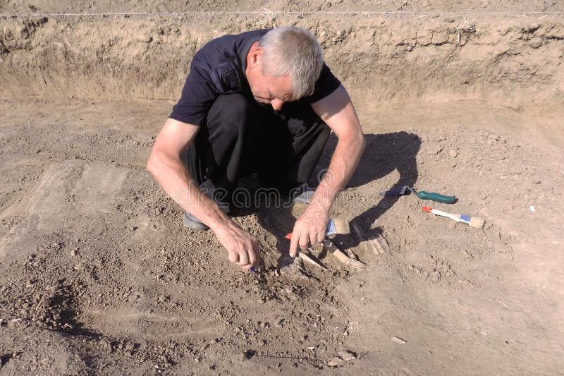 Archeologiczna ekskawacja Archeolog w czerparka procesie, bada grobowa, ludzkie kości, część kościec i czaszkę, wewnątrz fotografia royalty free