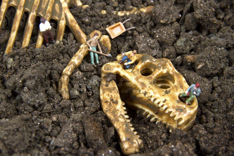 Archeology Stock Image - Image: 36846341
