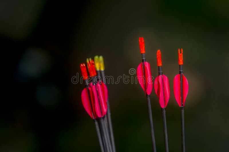 Archery arrows stock photo. Image of arrows, brindled - 9500520
