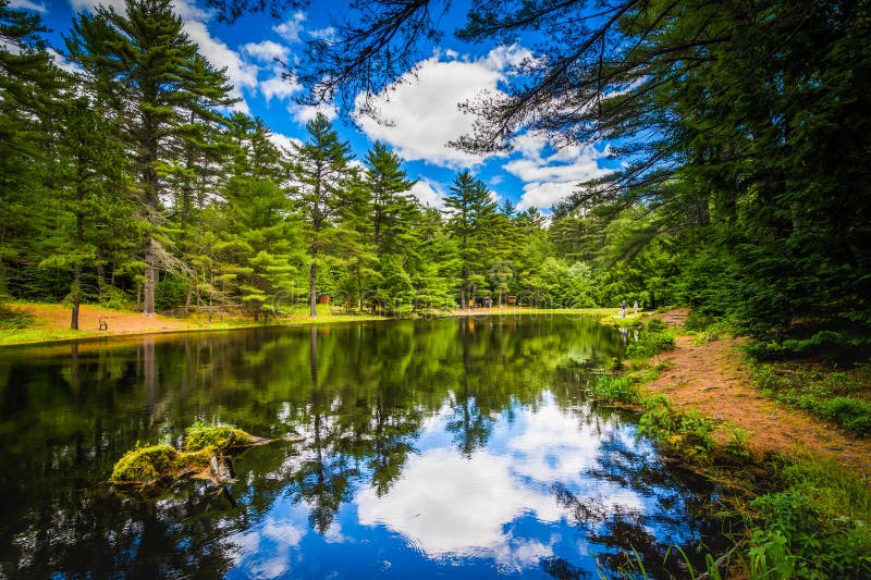 The Archery Pond at Bear Brook State Park, New Hampshire. Stock Image