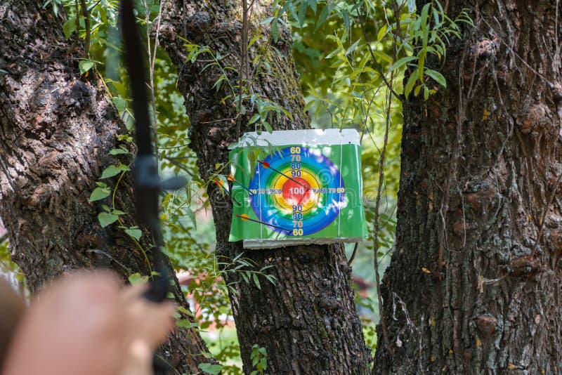 Archery Target Attached To a Tree. an Arrow Sticks Out of the Center of