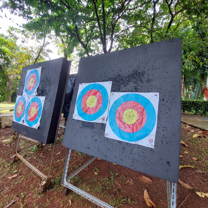 Archery Target Board Ready To Use for Match Stock Photo Image of blue