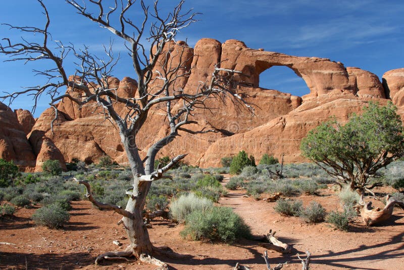 Arches National Park