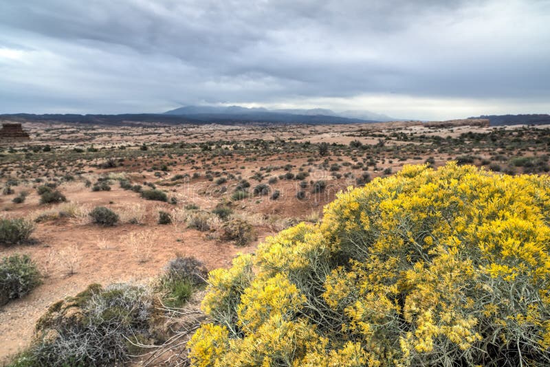 Arches National Park stock image. Image of utah, plant 45875227