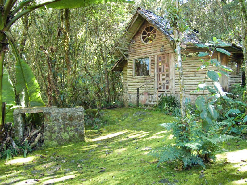 Architecture, Country House in the Middle of the Forest Stock Photo