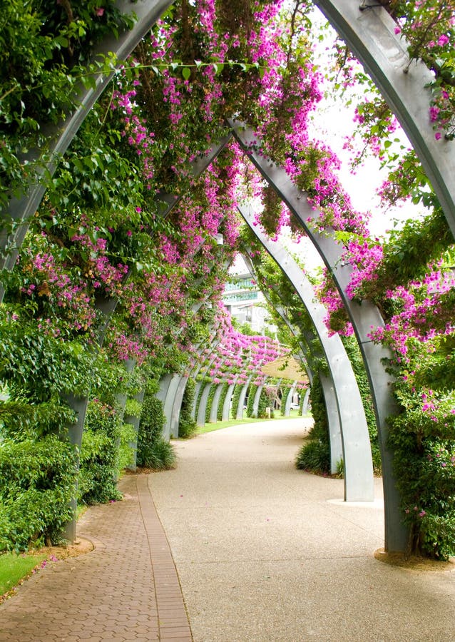 Archway di Bouganvilla immagine stock libera da diritti Archway di Bouganvilla immagine stock libera da diritti