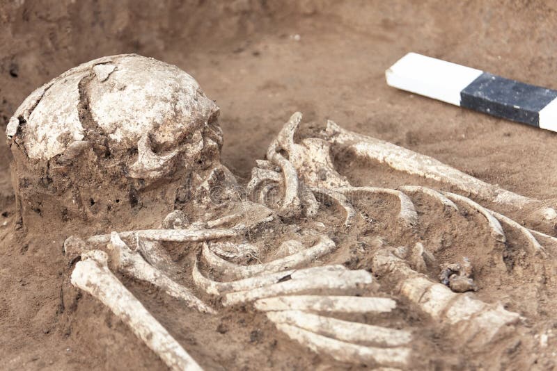 Archäologische Aushöhlungen Knochen der menschlichen Überreste des Skeletts, Schädel im Boden, wenn die Artefakte im Grab gefunde lizenzfreie stockbilder Archäologische Aushöhlungen Knochen der menschlichen Überreste des Skeletts, Schädel im Boden, wenn die Artefakte im Grab gefunde lizenzfreie stockbilder
