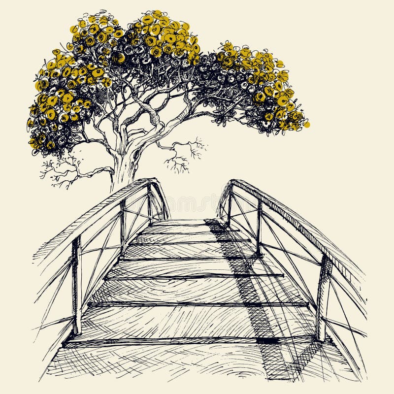 Arco da ponte de madeira e árvore de florescência