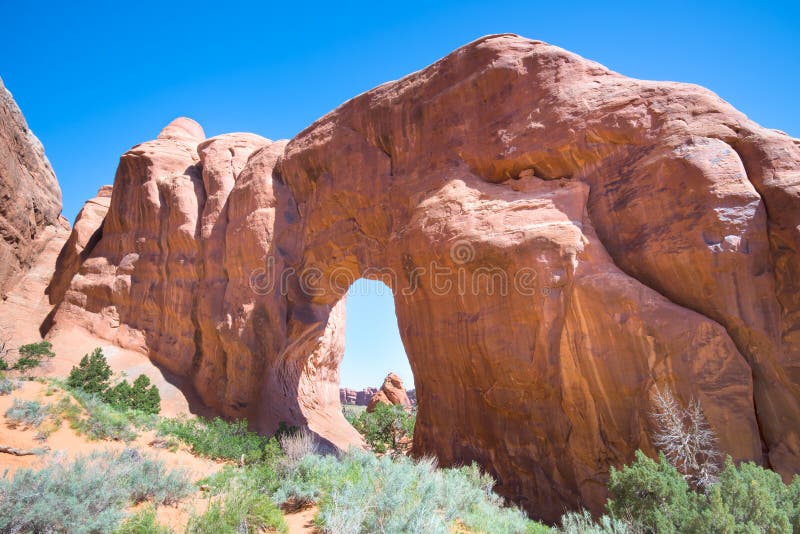 Arco del pino, parco nazionale di arché, UT fotografia stock libera da diritti Arco del pino, parco nazionale di arché, UT fotografia stock libera da diritti