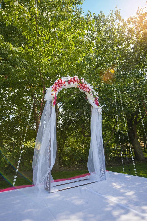 Aghi Per Edera Com-four® - 200 Pezzi, Per Composizioni Floreali, Fissaggio Decorazioni - Foto 8