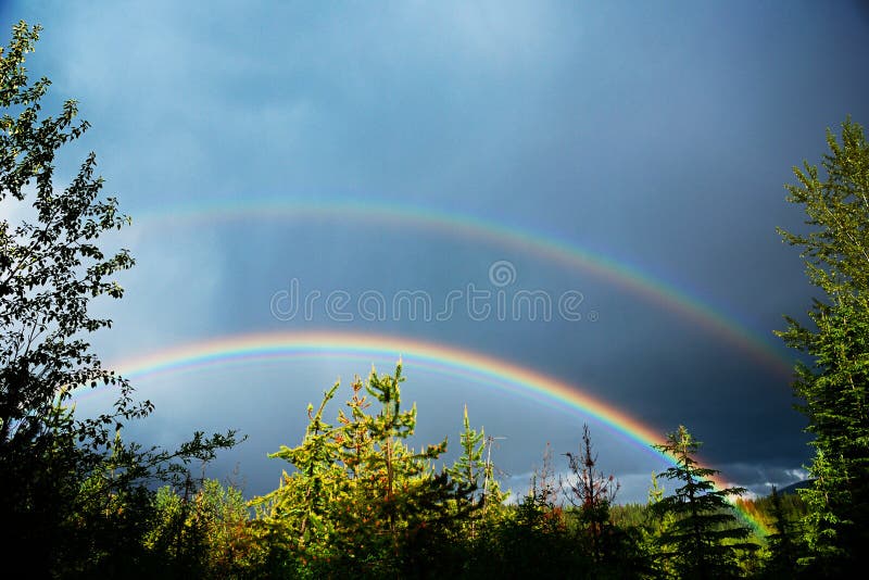 A double rainbow above the trees, Alberta, Canada. A double rainbow above the trees, Alberta, Canada