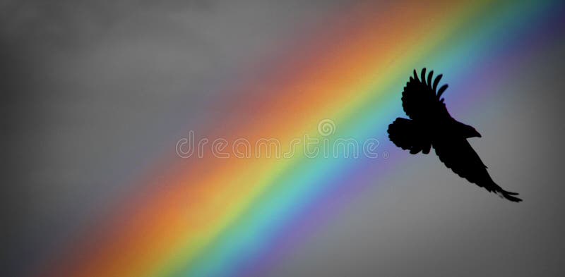 Arcobaleno e corvo di Noè fotografia stock Arcobaleno e corvo di Noè fotografia stock