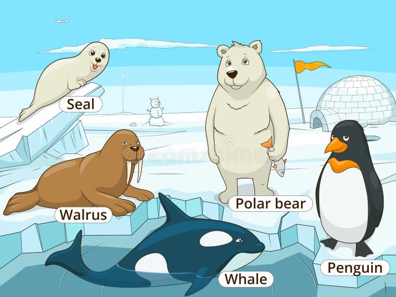 Arctic Animals Educational Game Kids Vector Illustration Educational Game  Animals Stock Illustrations – 50 Arctic Animals Educational Game Kids  Vector Illustration Educational Game Animals Stock Illustrations, Vectors &  Clipart - Dreamstime