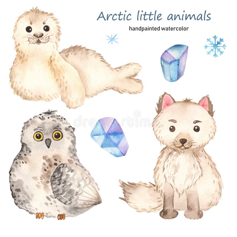 Download Arctic Little Cute Animals Watercolor Arctic Fox Seal Owl Stock Illustration Illustration Of Background Lights 159812134