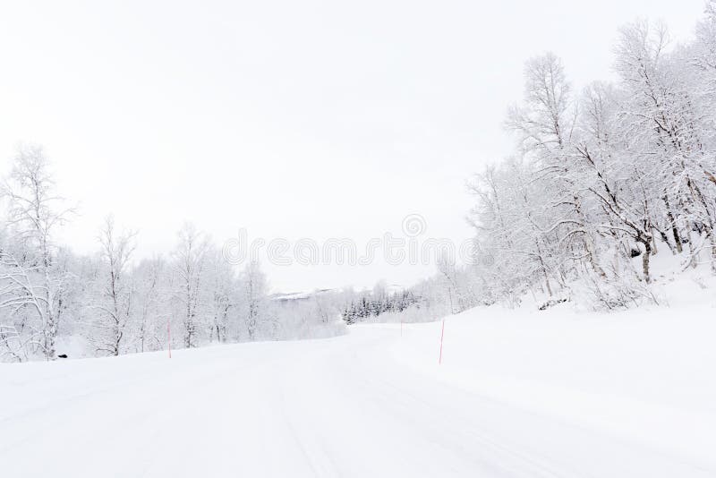 Arctic road with snowcovered forest royalty free stock photography Arctic road with snowcovered forest royalty free stock photography