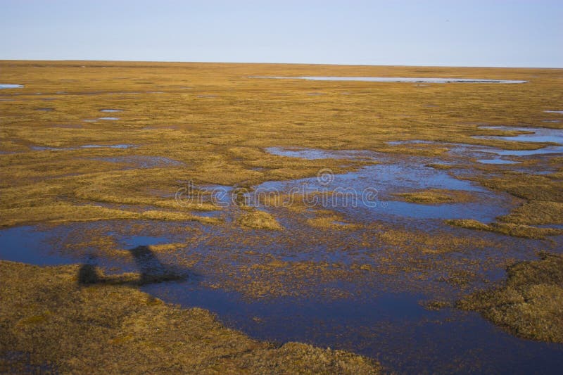 Arctic tundra from air stock photos Arctic tundra from air stock photos