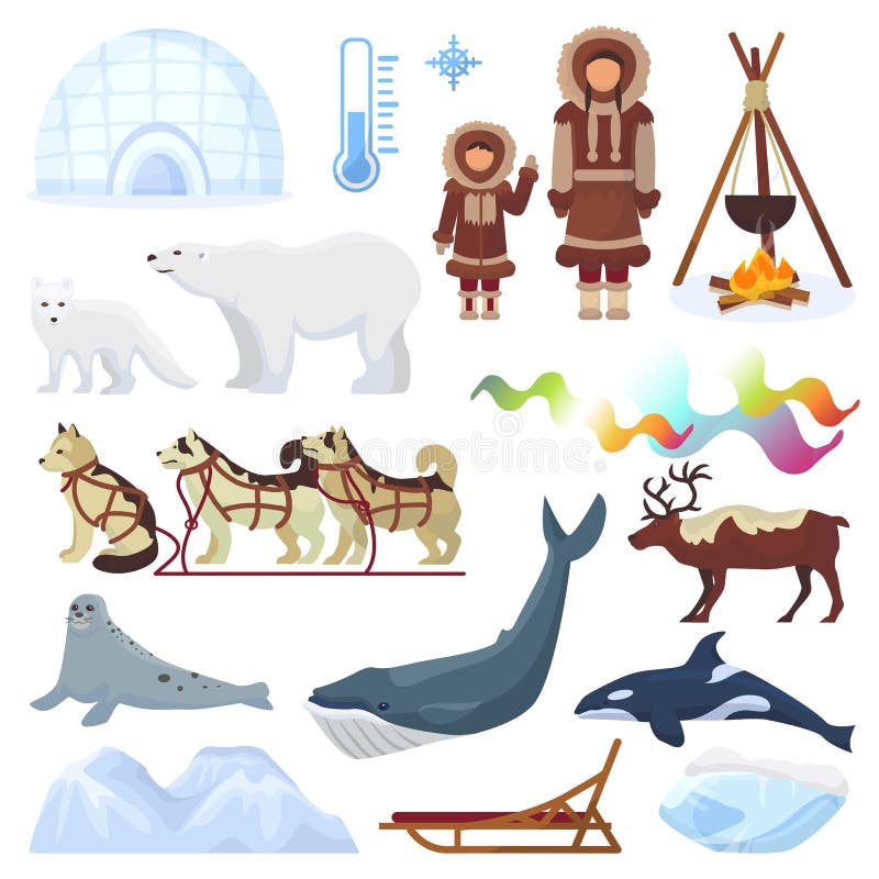 Arctic vector northern borealis norway and husky dog sledding sledge to yurta in snowy winter illustration polaris set royalty free illustration Arctic vector northern borealis norway and husky dog sledding sledge to yurta in snowy winter illustration polaris set royalty free illustration