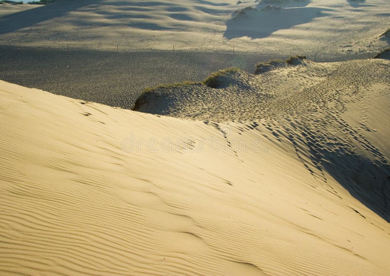 Moving dunes are a kind of sand dunes.They characterize that smaller grains, appearing in a small quantity in the sea sand are usually blown off from the top. The constant movement of grains ( which are not kept by the plants), induces the progressive movement of dunes tops according to direction of dominant winds. Moving dunes are a kind of sand dunes.They characterize that smaller grains, appearing in a small quantity in the sea sand are usually blown off from the top. The constant movement of grains ( which are not kept by the plants), induces the progressive movement of dunes tops according to direction of dominant winds.