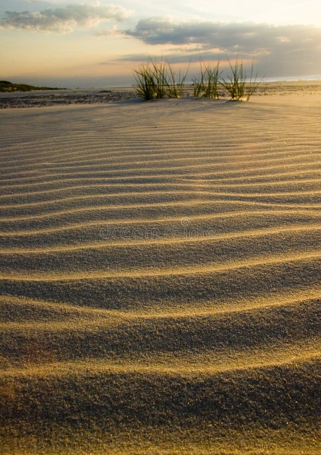 Moving dunes are a kind of sand dunes.They characterize that smaller grains, appearing in a small quantity in the sea sand are usually blown off from the top. The constant movement of grains ( which are not kept by the plants), induces the progressive movement of dunes tops according to direction of dominant winds. Moving dunes are a kind of sand dunes.They characterize that smaller grains, appearing in a small quantity in the sea sand are usually blown off from the top. The constant movement of grains ( which are not kept by the plants), induces the progressive movement of dunes tops according to direction of dominant winds.