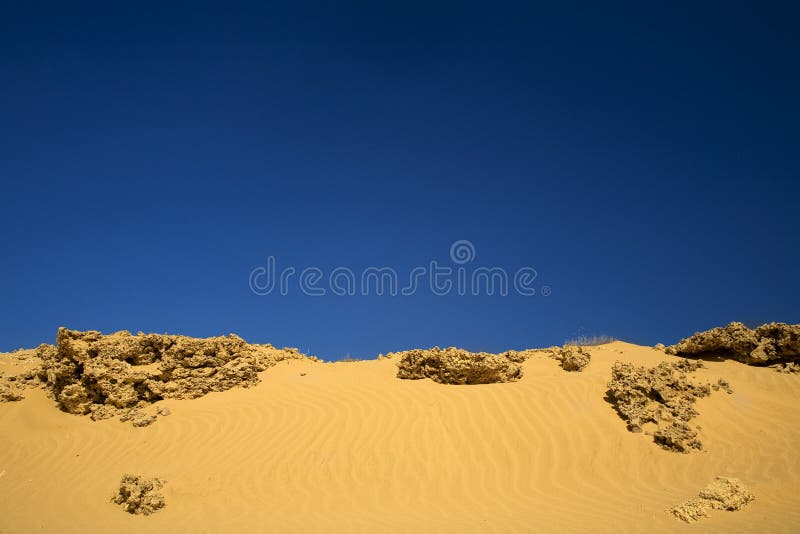 Deserto Em Um Fundo De Céu Azul Deserto Em Turnê Areia Movediça Foto E  Imagem Para Download Gratuito - Pngtree