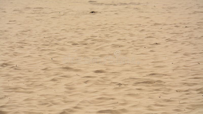 Areia Movediça No Oceano Índico Imagem de Stock - Imagem de praia, arenoso:  112344503