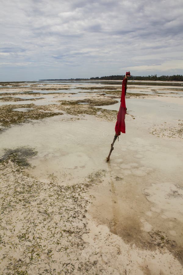 Areia Movediça No Oceano Índico Imagem de Stock - Imagem de praia