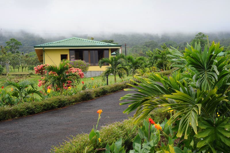 Arenal volcano park stock photo. Image of leaf, rainy 39568604